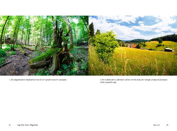 Pilzfotografie - Magische Momente inszenieren