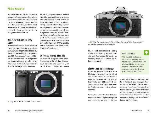 Pilzfotografie - Magische Momente inszenieren