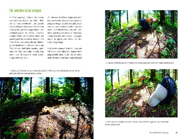 Pilzfotografie - Magische Momente inszenieren
