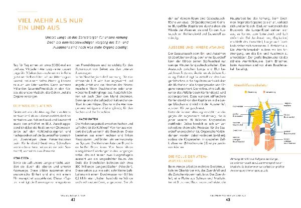 Die Bewegungs-Docs - Unser Programm für mehr Gesundheit und Leichtigkeit