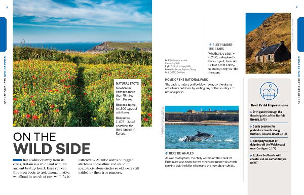 Lonely Planet Experience Great Britain