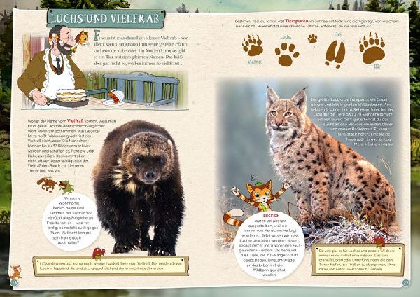 Pettersson und Findus: Tiere entdecken in Wald und Wiese