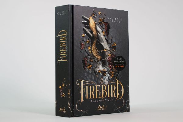 Flammensturm (Band 1) - Firebird
