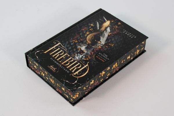 Flammensturm (Band 1) - Firebird