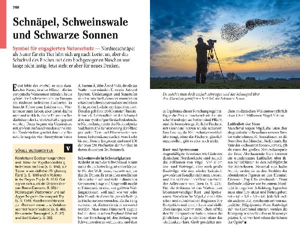 DUMONT Reise-Taschenbuch Reiseführer Dänemark Nordseeküste