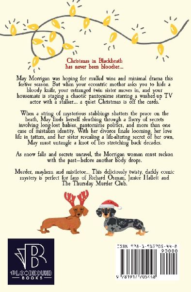 A Most Curious Christmas