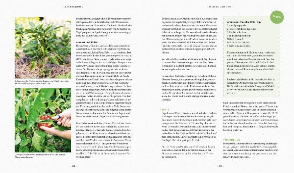 Mein Biogemüse-Garten