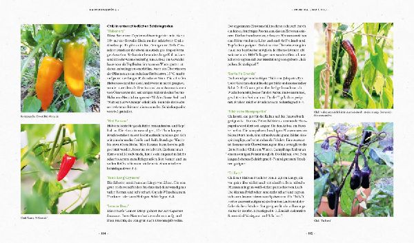 Mein Biogemüse-Garten