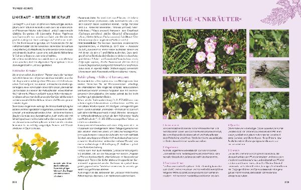 Das große Praxishandbuch Garten