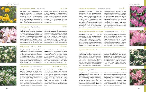 Das große Praxishandbuch Garten