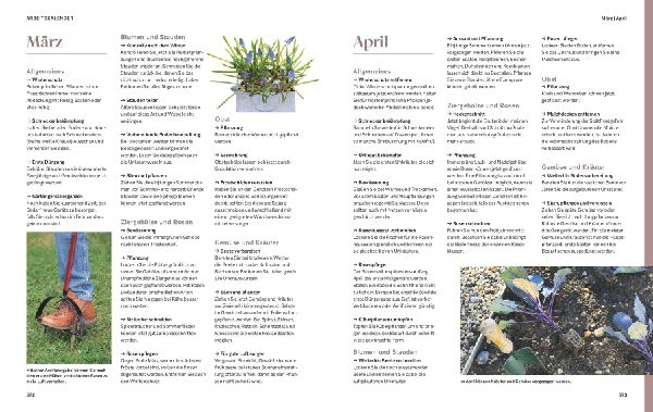 Das große Praxishandbuch Garten