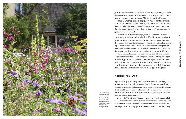 The Modern Cottage Garden