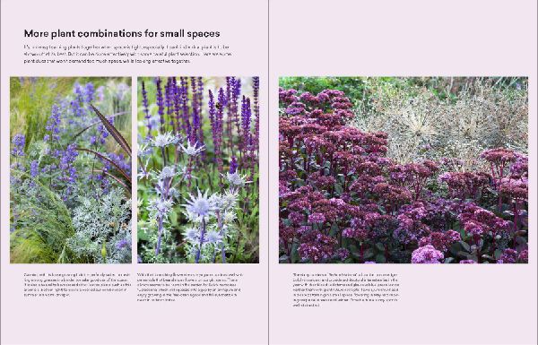 The Modern Cottage Garden