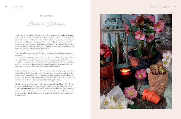 Weihnachtliche Blumenpoesie