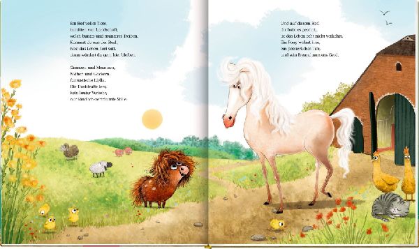 Ronny, das Pony, (