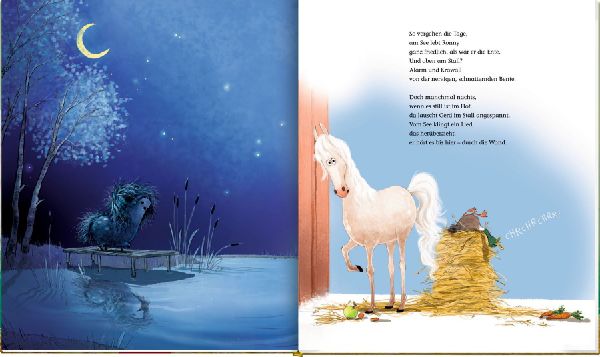 Ronny, das Pony, (