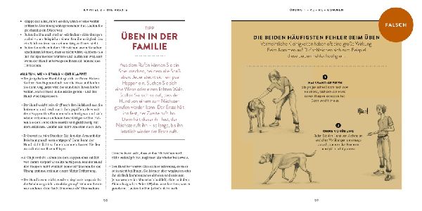 So einfach geht Hundeerziehung