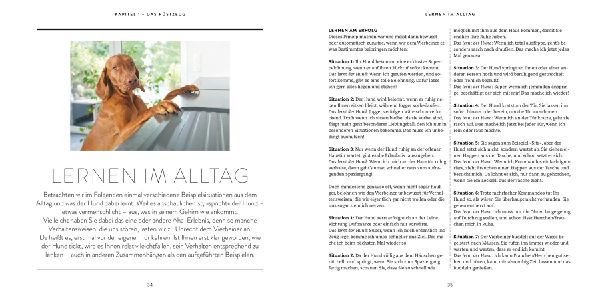 So einfach geht Hundeerziehung