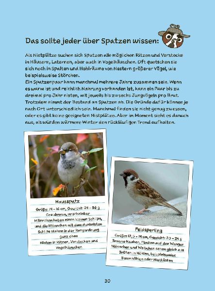 Detektiv Spatz und die gebrochene Feder