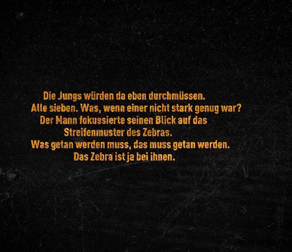 Im Auge des Zebras