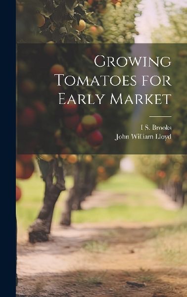 Growing Tomatoes for Early Market