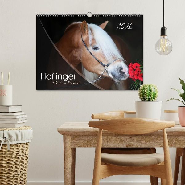 Haflinger-Pferde in Reinzucht (Wandkalender 2026 DIN A3 quer), CALVENDO Monatskalender