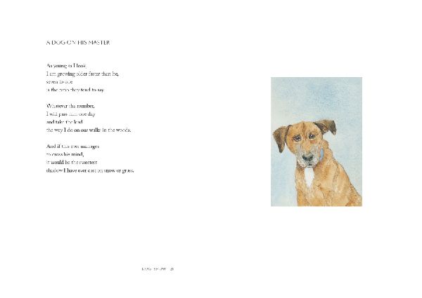 Dog Show