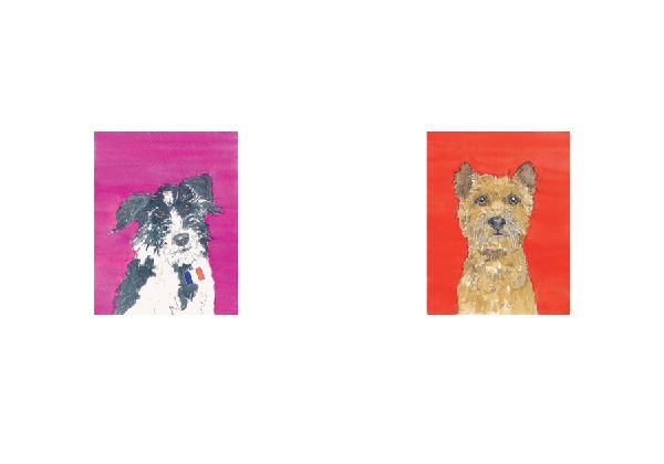 Dog Show