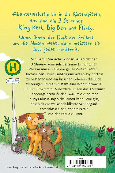 3 Streuner und der sprechende Berg