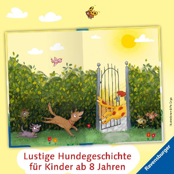 3 Streuner und der sprechende Berg