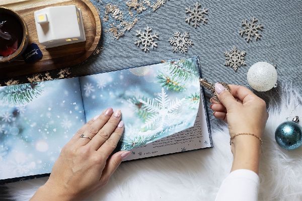My Frozen Memories