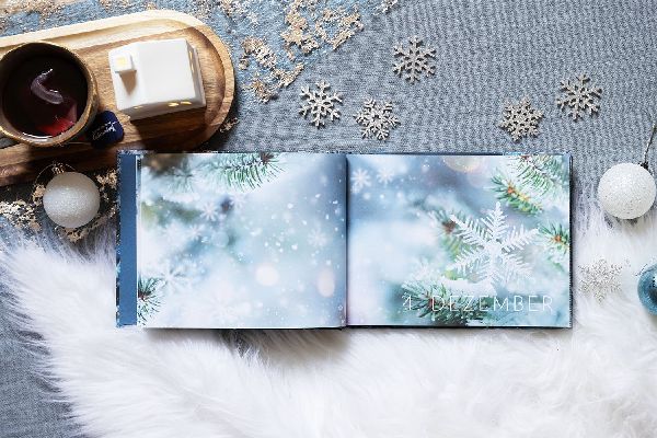 My Frozen Memories