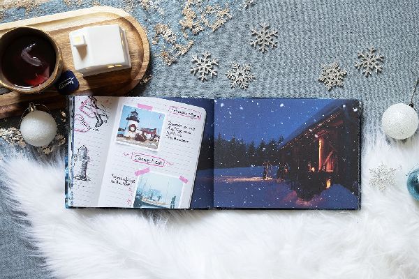 My Frozen Memories