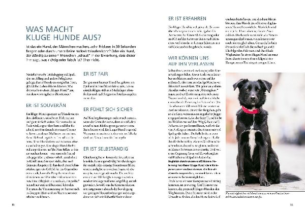 Die 10 Kompetenzen für Hunde