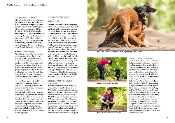 Die 10 Kompetenzen für Hunde