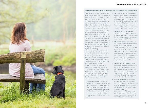 Die 10 Kompetenzen für Hunde