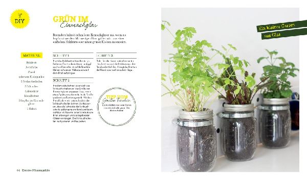 Indoor Gardening