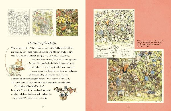 A Visit to Brambly Hedge