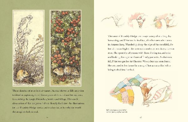 A Visit to Brambly Hedge