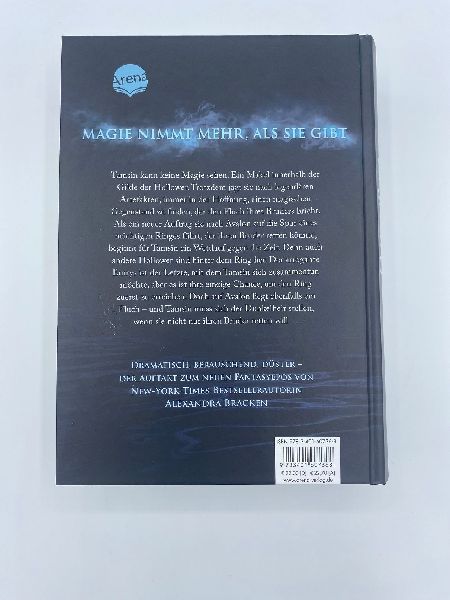 Silver in the Bone. Brich den Fluch, bevor der Fluch dich bricht (Die Hollower-Saga 1)