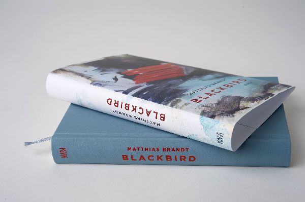 Blackbird