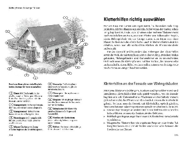 Grüne Wände für Haus und Garten