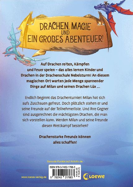 Drachenschule Nebelsturm (Band 3) - Das Turnier der Drachen