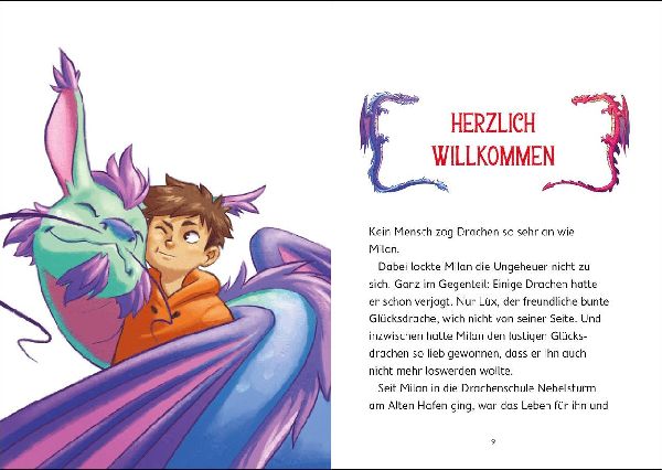 Drachenschule Nebelsturm (Band 3) - Das Turnier der Drachen