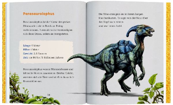 T-Rex World (Erstlesebuch, 