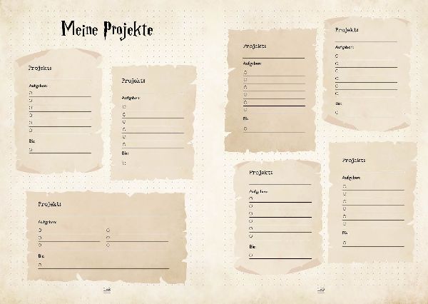 Mein magisches Bullet Journal - Der Planer für alle Potterheads