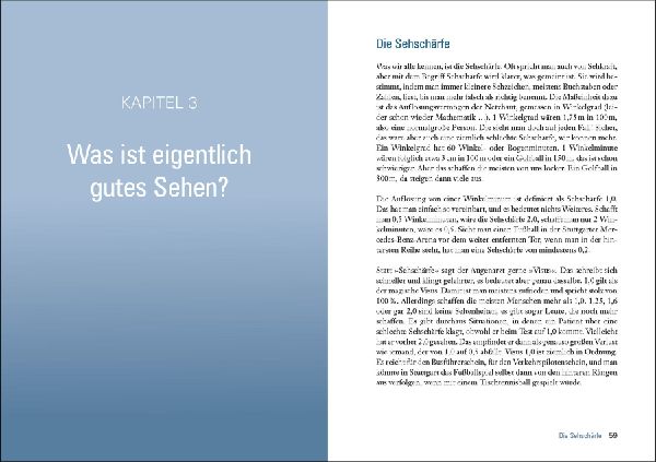 Das große Buch vom Auge