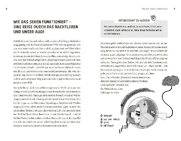Faszination Auge