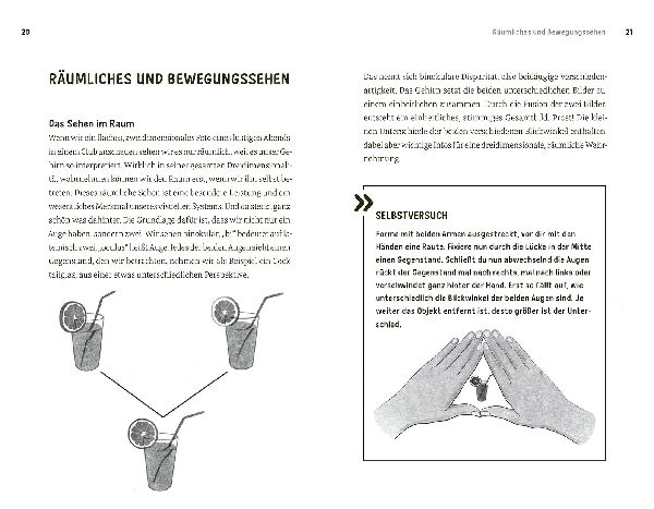 Faszination Auge