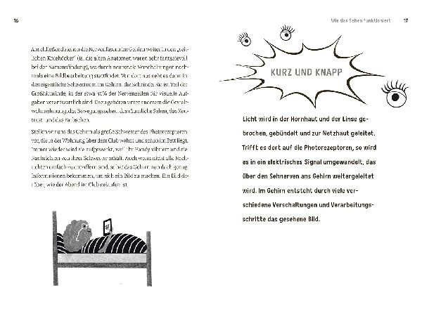 Faszination Auge